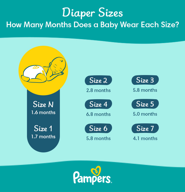 pampers zapytaj