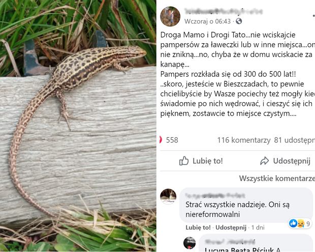 pieluchy jednorazowe wysypiska śmieci