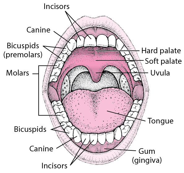 pampersy darmowe pieluchy próbki