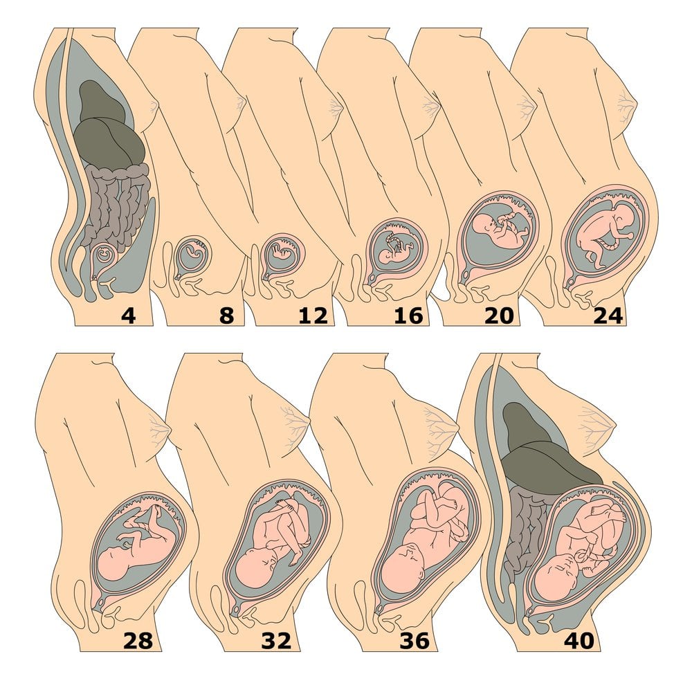 pieluchomajtki pampers 6 promocja