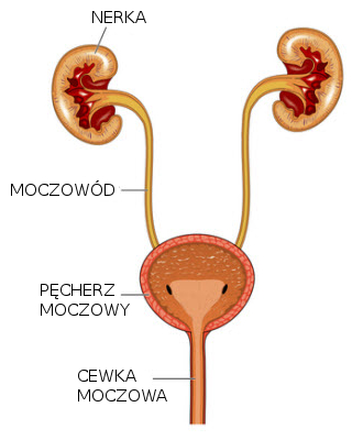 pieluchy wielorazowe zestaw testowy