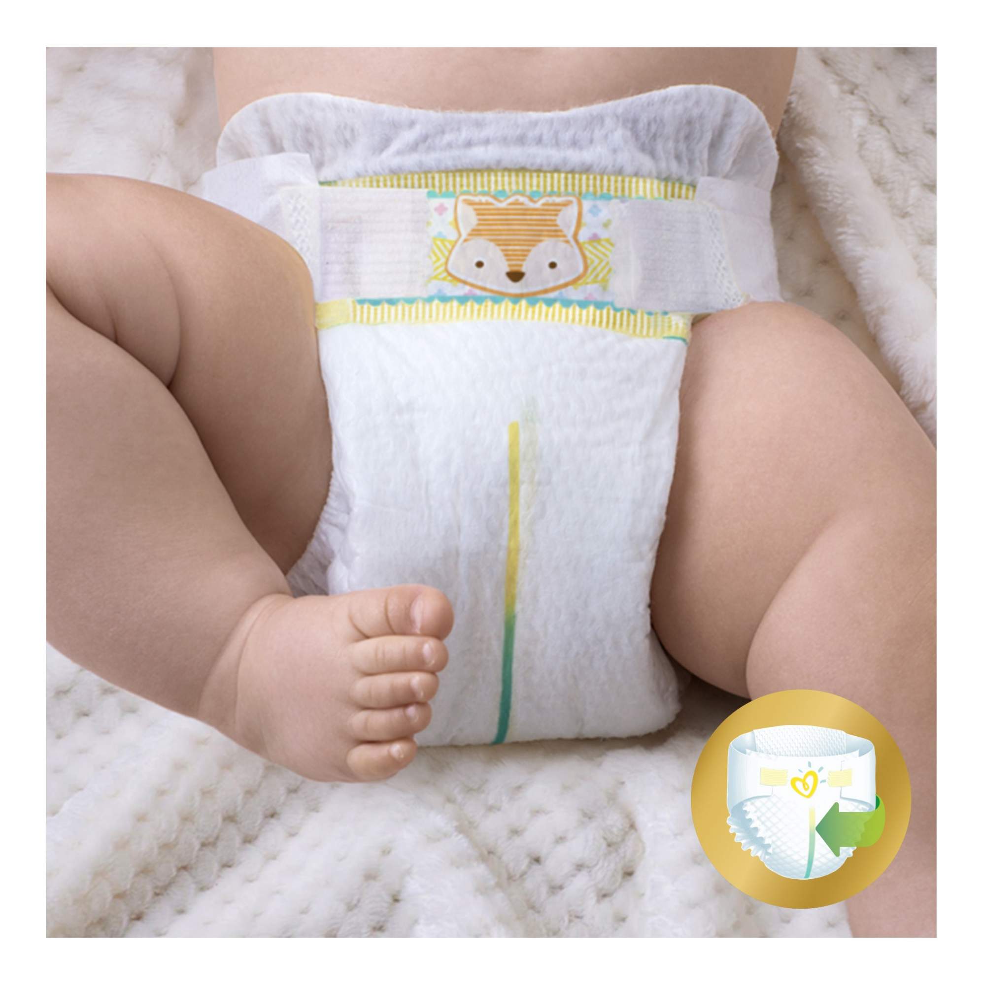 blekitne pampers premium care 4 2019