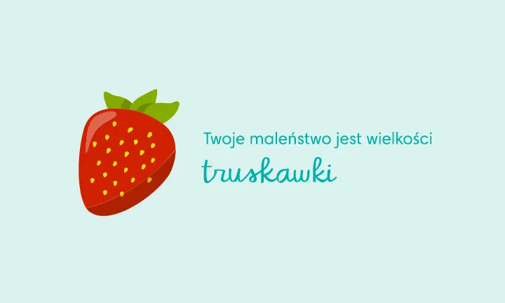 chusteczki nawilżane do czyszczenia szyby