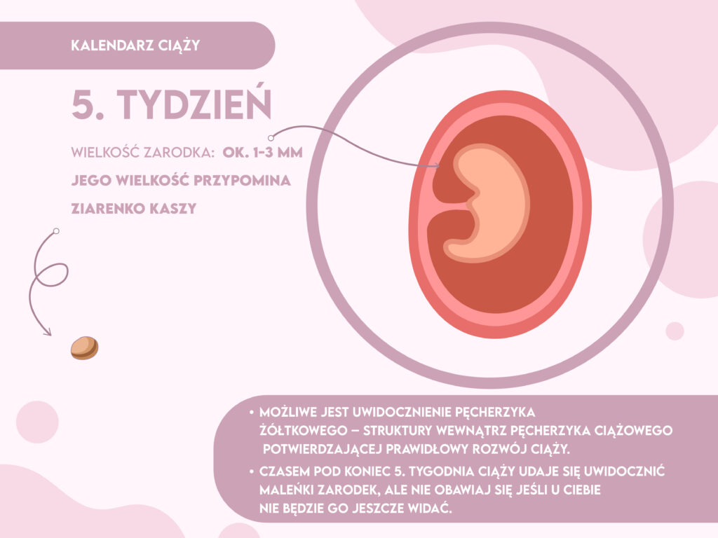 pieluszki tetrowe a flanelowe do czego służy