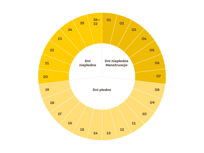 pieluchomajtki dla dorosłych l large seni