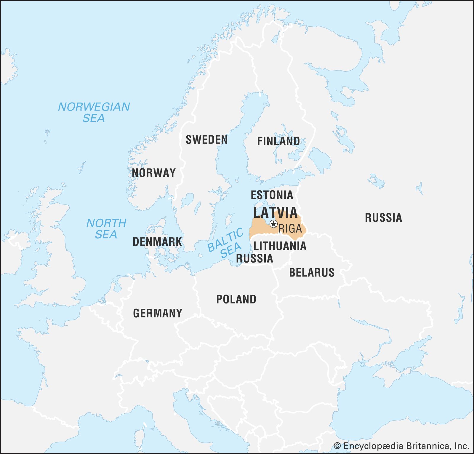 Zestaw do nauki łyżek i widelców dla gołębi z walizką do przechowywania