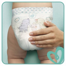 pampers 3 zapas