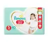 pampers pant właściwości