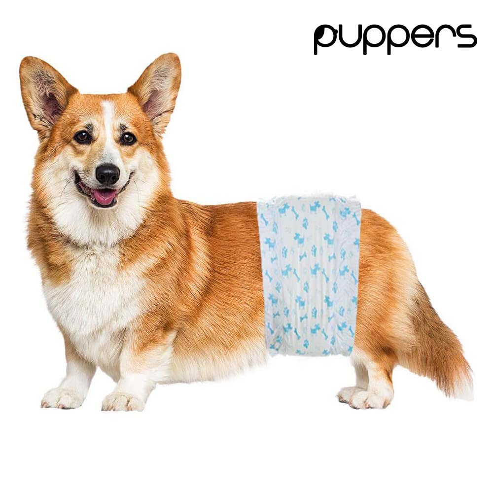 pieluchy pampers procare